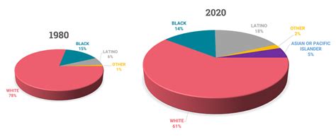 Illinois’s Diverse Population - Illinois Aging Together