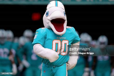 575 Dolphins Mascot Photos & High Res Pictures - Getty Images