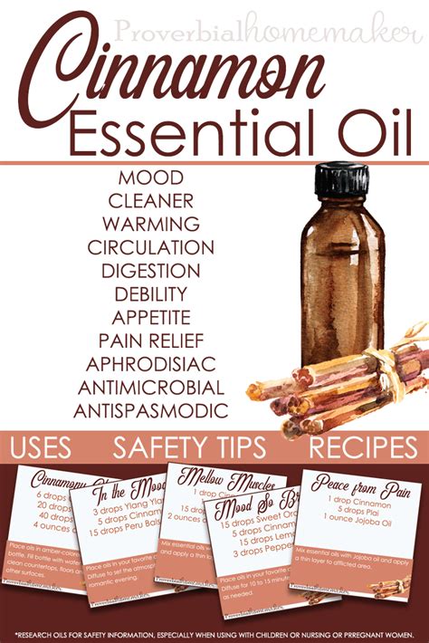 Best Cinnamon Essential Oil Uses, Safety, and Recipes