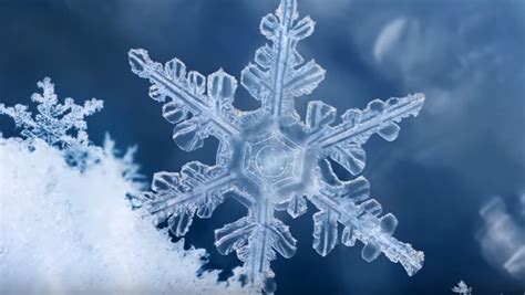 Are Snowflakes Really Uniquely Patterned? Know How These Tiny Ice ...