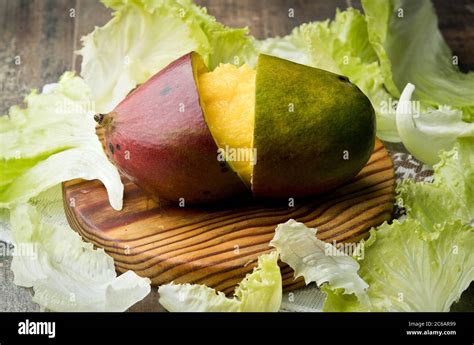 Mango Mango In Puerto Rico Is The Name Of The Fruits Of Several