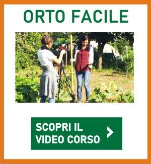 Pomodori neri ecco perché fanno bene Orto Da Coltivare