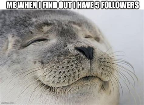 Satisfied Seal Meme Imgflip