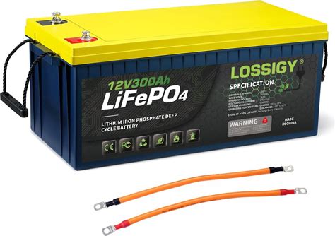 Lossigy V Ah Lifepo Lithium Battery Wh India Ubuy