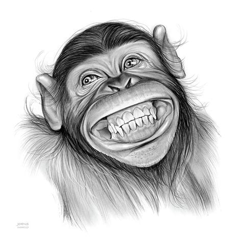 How To Draw Realistic Monkey - Drawing Word Searches