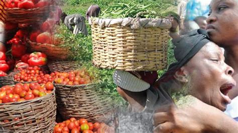 FG Empowers 819 Tractor Operators To Boost Food Security