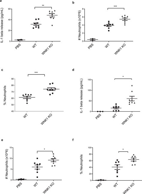 Wnk1 Knockout In Macrophages Increases Nlrp3 Inflammasome Activation In