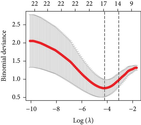 Construction Of Svm Rfe And Lasso Regression Models And Demonstration