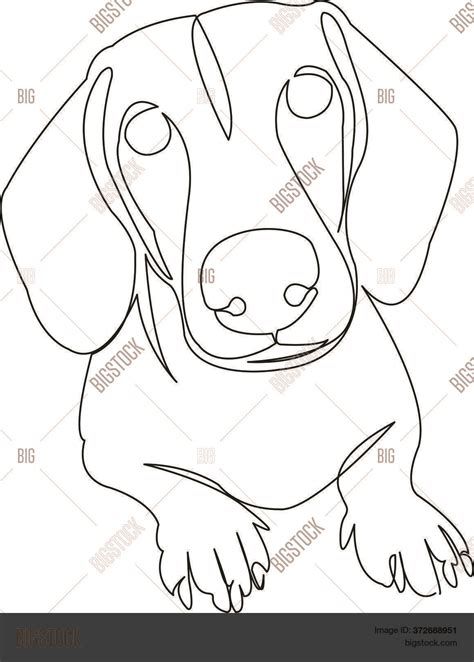 Dachshund Vector And Photo Free Trial Bigstock