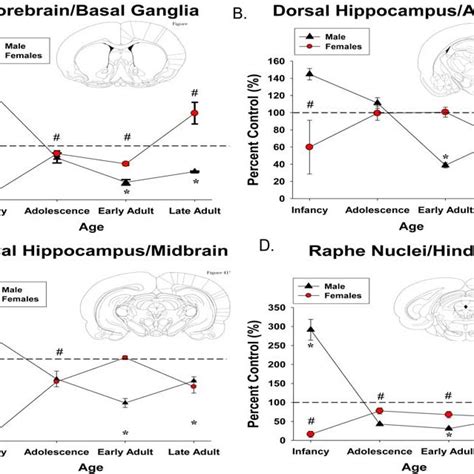 Serotonergic Synapse This Diagram Shows A Serotonergic Presynaptic Download Scientific Diagram