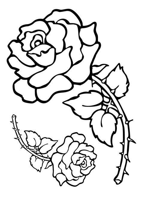 Dibujo E Imagen Flores Rosa Para Colorear Y Imprimir Gratis Para