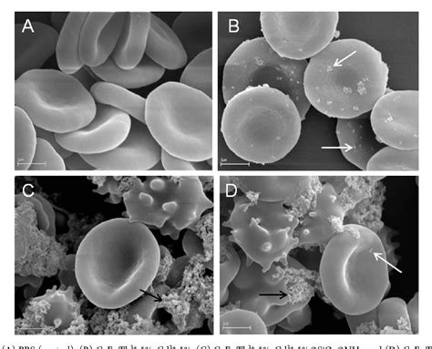 Figure From Synthesis And Organic Surface Modification Of Luminescent