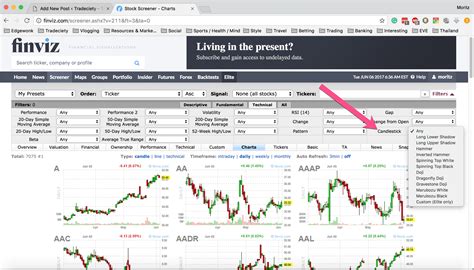 How To Use Finviz To Easily Find Stock Setups