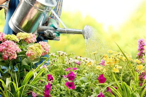 Bauernregeln für den Garten Worauf man sich verlassen kann HeimHelden