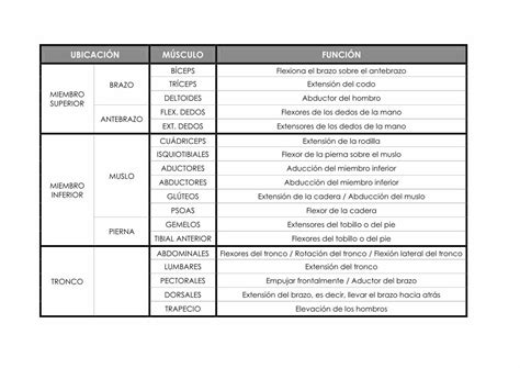 PDF UBICACIÓN MÚSCULO FUNCIÓN UBICACIÓN MÚSCULO FUNCIÓN MIEMBRO