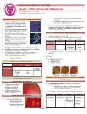 Lesson Streptococcus And Enterococcus Pdf Clinical Bacteriology