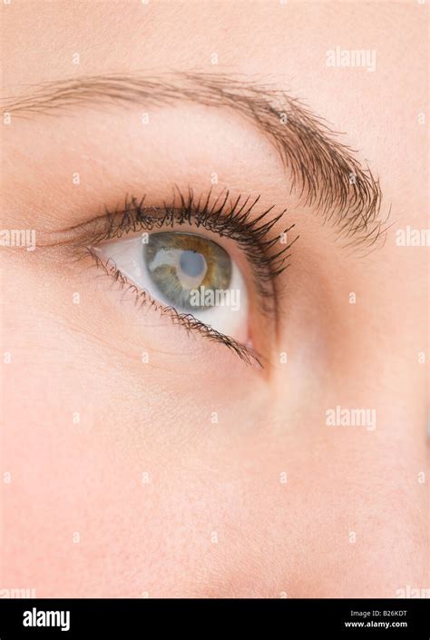 Extreme Close Up Of Womans Eye Stock Photo Alamy