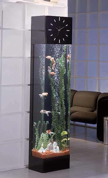 Feng Shui Tips For Location Of The Fish Tank At Home My Decorative