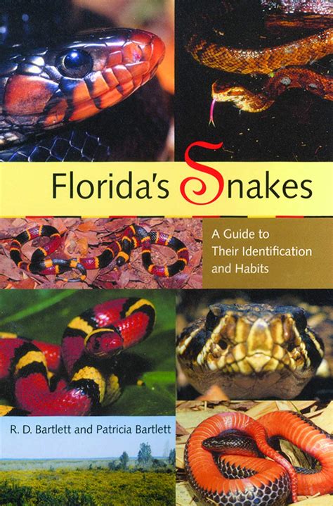 Florida Snake Identification Chart