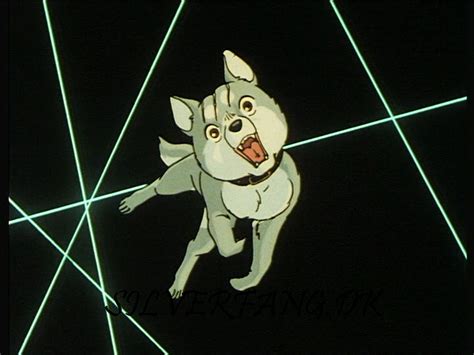 Gin Ginga Nagareboshi Gin Image 29019382 Fanpop