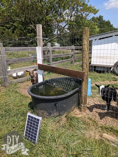 How to Keep a Water Trough Clean for Livestock - DIY Danielle®