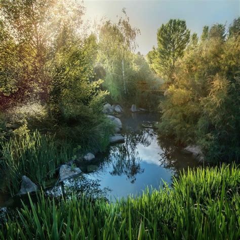 Premium Photo | Beautiful shot of a reflective pond under sunlight