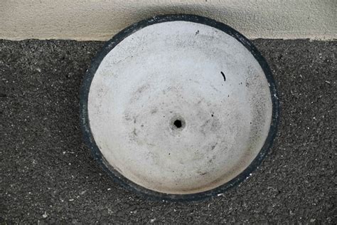 Large Brutalist Planter In Concrete For Sale At Pamono