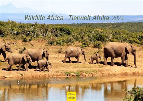 Edition Seidel Premium Kalender Tierwelt Afrika Format Din A