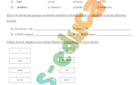 Exercice Pluriel Des Noms Anglais 6eme Cycle 3 Pass Education Otosection