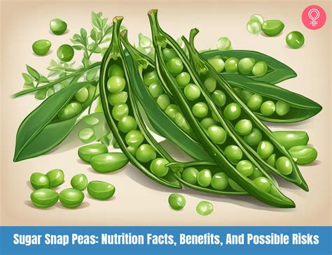 Sugar Snap Peas Nutrition Facts Benefits And Possible Risks