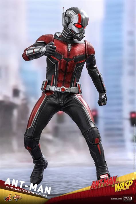 Ant Man 1 6th Scale Hot Toys Collectible Coming Soon DisKingdom