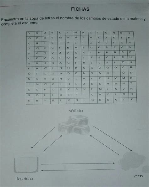 FICHAS Encuentra En La Sopa De Letras El Nombre De Los Cambios De