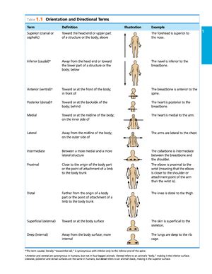 Presentation Rubric Scoring Rubric For Oral Scientific Presentations