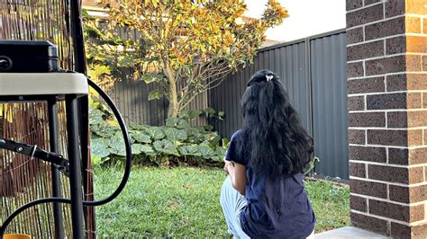 One Day In Autumn A Diary Of An Artist Living In Australia A Mum Of