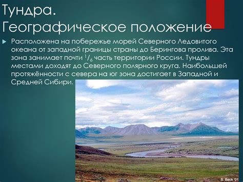 Тундра и лесотундра России - презентация онлайн