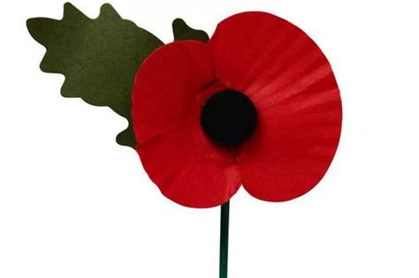 Remembrance Sunday: 'I sold poppies for the first appeal in 1921.. it’s ...