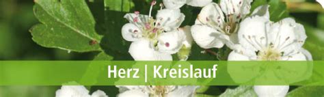 Herz Kreislauf Apotal De Ihre Versandapotheke