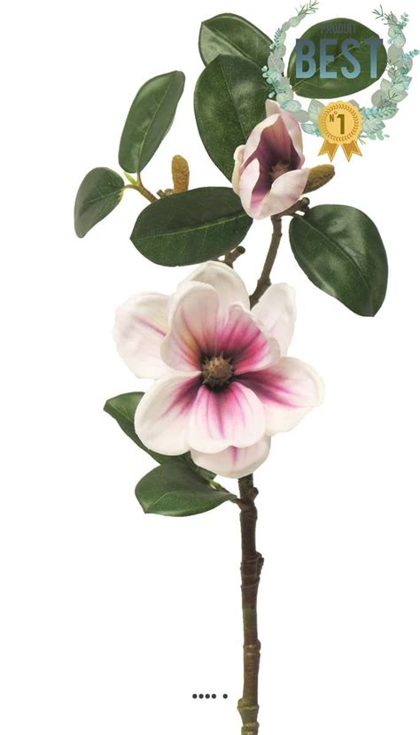 Magnolia Du Japon Artificiel En Tige H Cm Pourpre Blanc Best