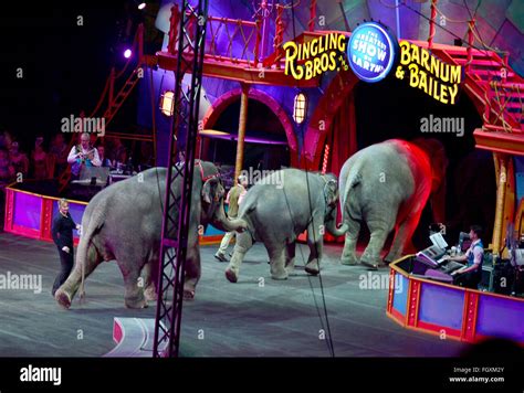 Ringlings Circus Hi Res Stock Photography And Images Alamy