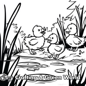 Pond Coloring Pages - Free & Printable!