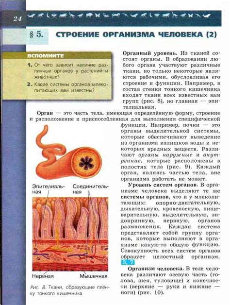 Учебник по биологии 8 класс Каменский Пасечник Швецов читать онлайн