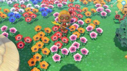 ACNH | Pink Windflower - How to Get & Breed | Animal Crossing - GameWith