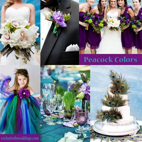 Your Wedding Colors Peacock Exclusively Weddings Wedding Colors Wedding Colors Purple