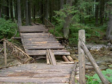 Log bridge - Wikipedia | Bridge design, Woods hangout spot, Wood bridge