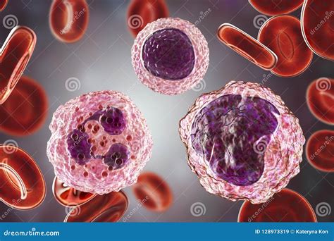 Monocyte Lymphocyte And Neutrophil Surrounded By Red Blood Cells Stock