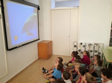 Educaci Infantil Projecte Els Dofins