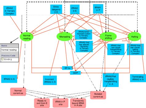 A Process Diagram Showing Normal And Abnormal Reading Processes