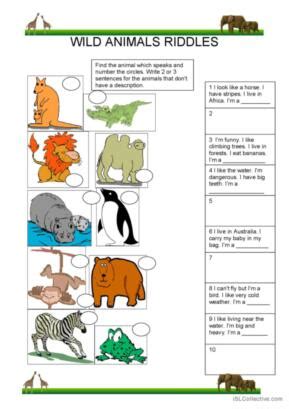 147 Riddles English ESL worksheets pdf & doc