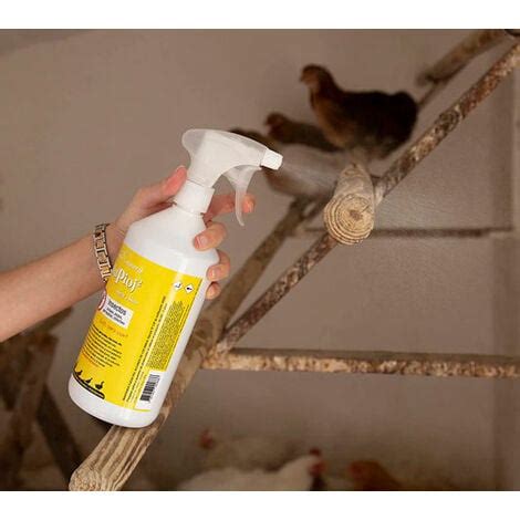 Espray Natural Para Eliminar Piojos De Gallinas Caros Garrapatas