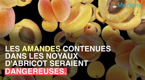 Les Amandes Dans Les Abricots Exposent Des Risques D Intoxication Au